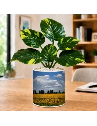 Artificial Tree Ceramic Photo Pot With White Stones 3x4 Inch (F165606)