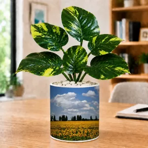Artificial Tree Ceramic Photo Pot With White Stones 3x4 Inch (F165606) Artificial Tree Ceramic Photo Pot With White Stones 3x4 Inch (F165606)
