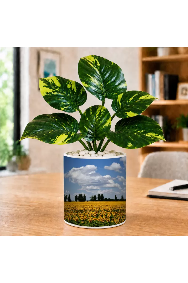 Artificial Tree Ceramic Photo Pot With White Stones 3x4 Inch (F165606)