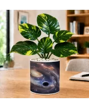Artificial Tree Ceramic Photo Pot With White Stones 3x4 Inch (F165614)