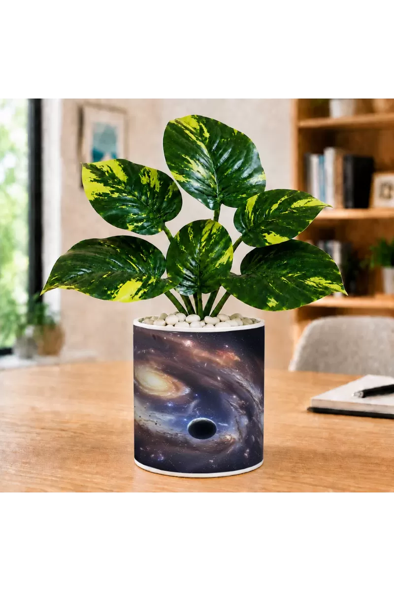 Artificial Tree Ceramic Photo Pot With White Stones 3x4 Inch (F165614)