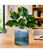 Artificial Tree Ceramic Photo Pot With White Stones 3x4 Inch (F165624)