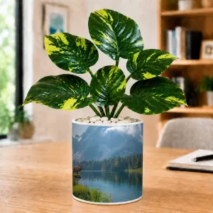 Artificial Tree Ceramic Photo Pot With White Stones 3x4 Inch (F165624) Artificial Tree Ceramic Photo Pot With White Stones 3x4 Inch (F165624)