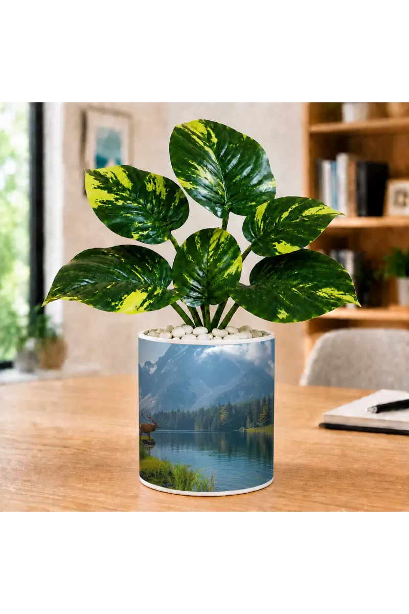 Artificial Tree Ceramic Photo Pot With White Stones 3x4 Inch (F165624)