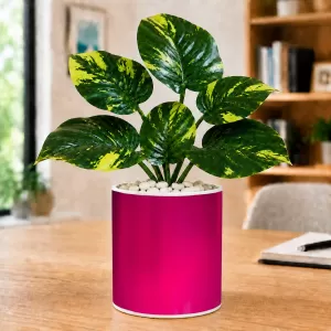 Artificial Tree Ceramic Photo Pot With White Stones 3x4 Inch (F165625) Artificial Tree Ceramic Photo Pot With White Stones 3x4 Inch (F165625)