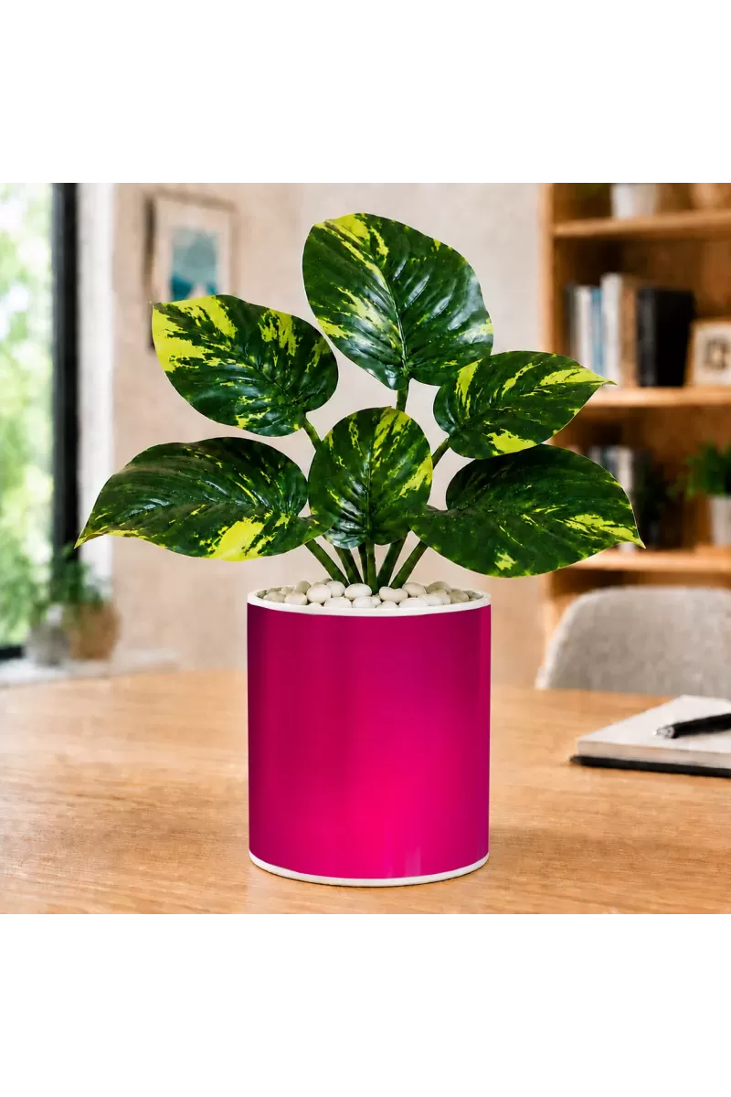 Artificial Tree Ceramic Photo Pot With White Stones 3x4 Inch (F165625)