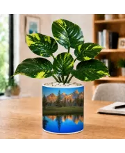 Artificial Tree Ceramic Photo Pot With White Stones 3x4 Inch (F165627)