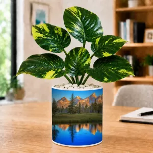 Artificial Tree Ceramic Photo Pot With White Stones 3x4 Inch (F165627) Artificial Tree Ceramic Photo Pot With White Stones 3x4 Inch (F165627)