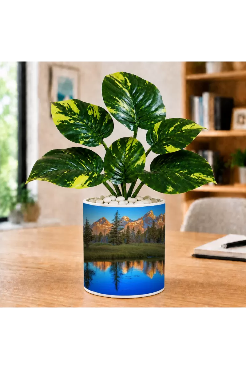 Artificial Tree Ceramic Photo Pot With White Stones 3x4 Inch (F165627)