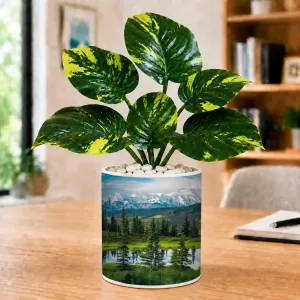 Artificial Tree Ceramic Photo Pot With White Stones 3x4 Inch (F165632) Artificial Tree Ceramic Photo Pot With White Stones 3x4 Inch (F165632)