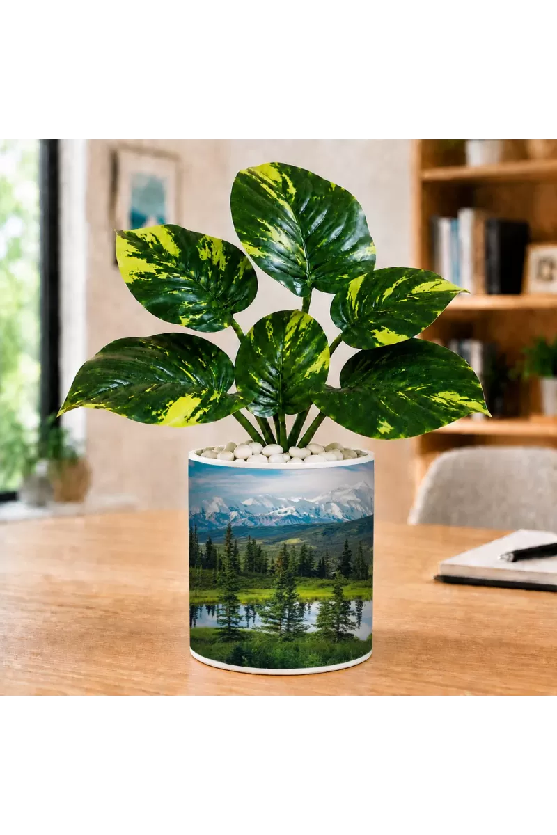 Artificial Tree Ceramic Photo Pot With White Stones 3x4 Inch (F165632)