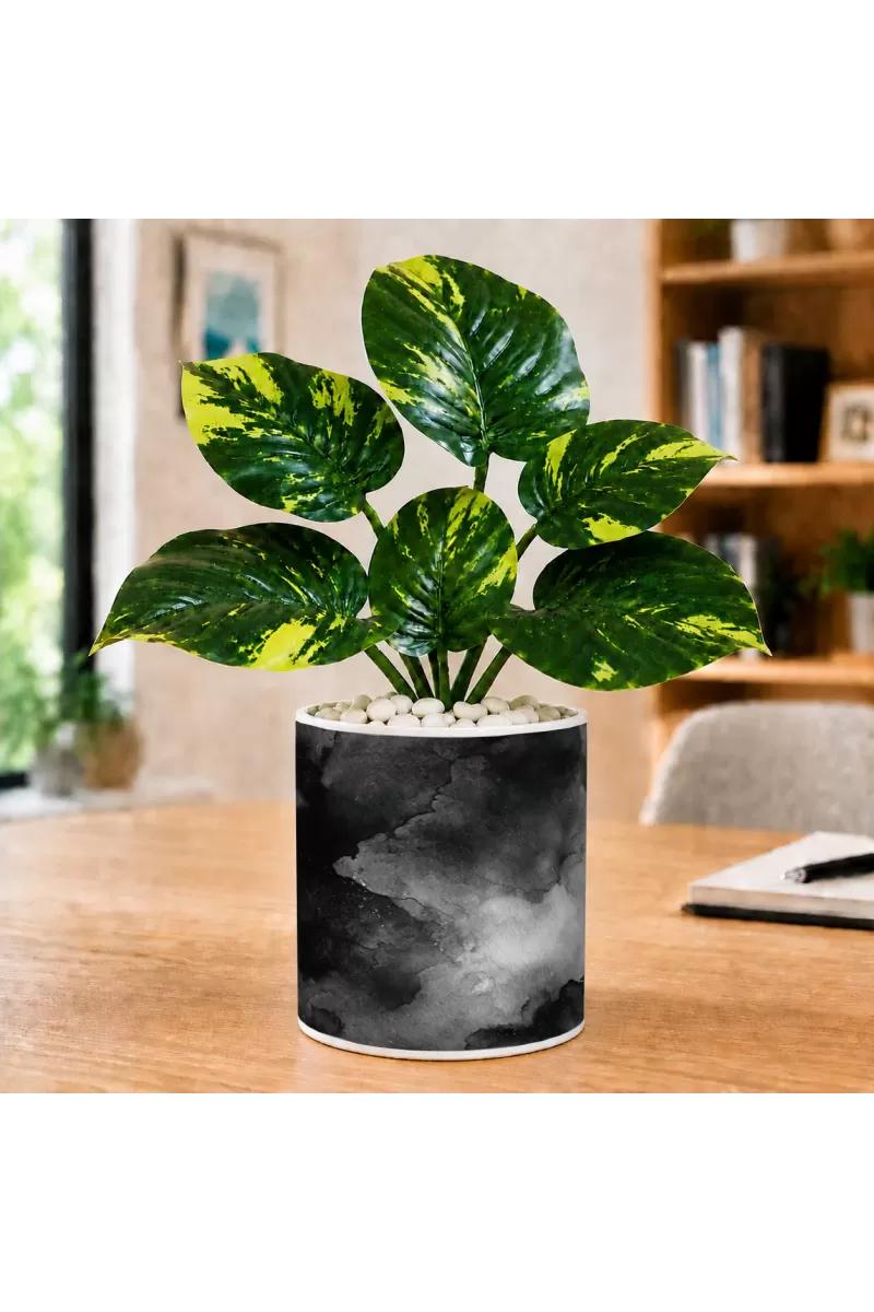 Artificial Tree Ceramic Photo Pot With White Stones 3x4 Inch (F165651)