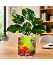 Artificial Tree Ceramic Photo Pot With White Stones 3x4 Inch (F165652)