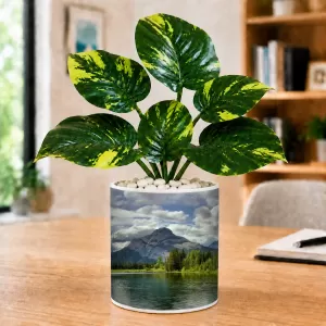 Artificial Tree Ceramic Photo Pot With White Stones 3x4 Inch (F165658) Artificial Tree Ceramic Photo Pot With White Stones 3x4 Inch (F165658)