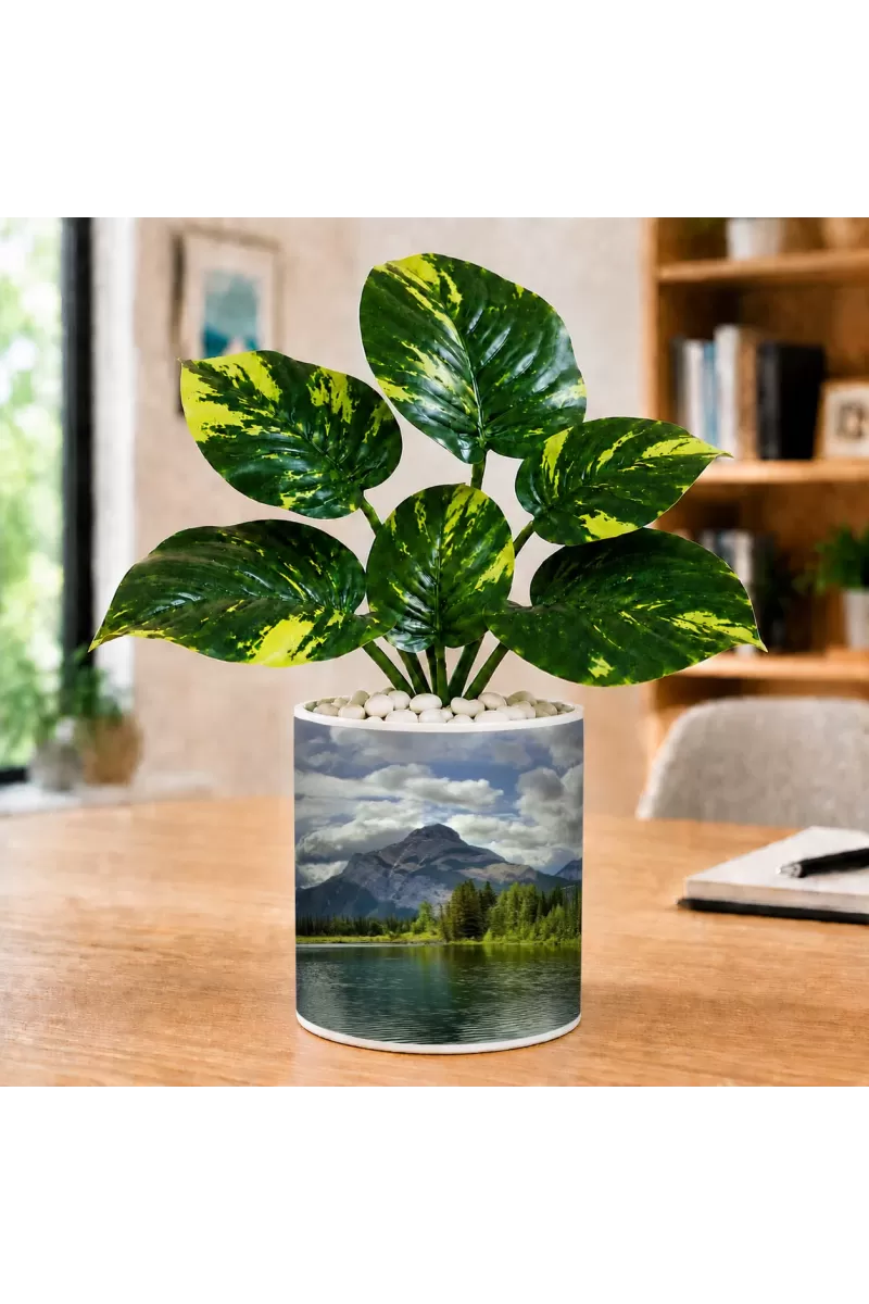 Artificial Tree Ceramic Photo Pot With White Stones 3x4 Inch (F165658)