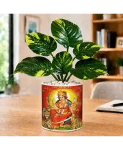 Artificial Tree Ceramic Photo Pot With White Stones 3x4 Inch (F165662)