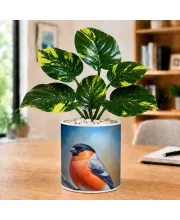 Artificial Tree Ceramic Photo Pot With White Stones 3x4 Inch (F165666)