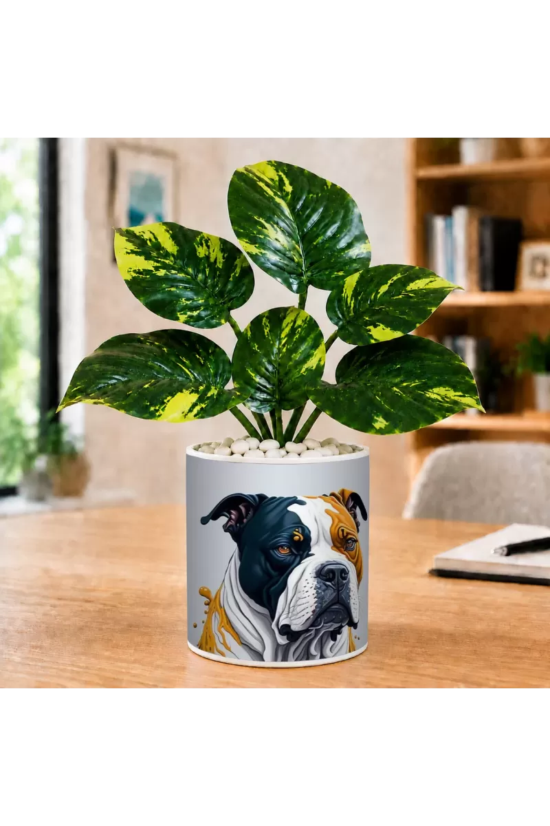 Artificial Tree Ceramic Photo Pot With White Stones 3x4 Inch (F165671)