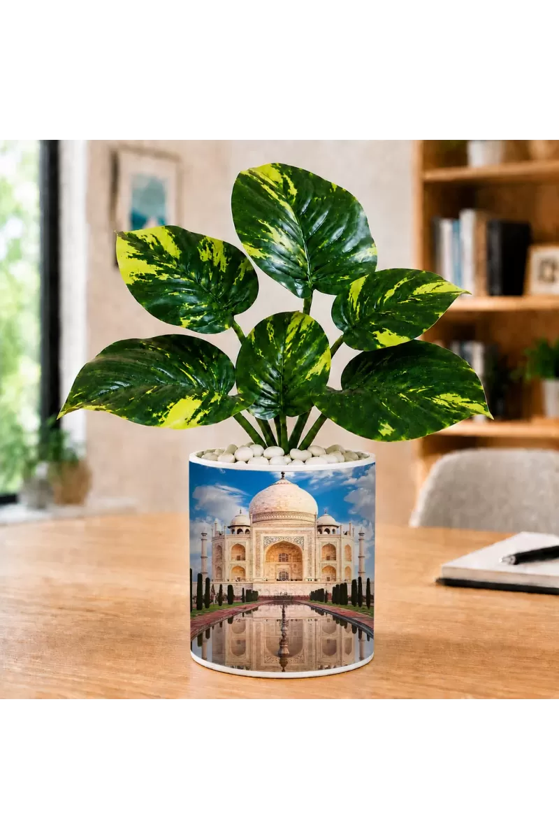 Artificial Tree Ceramic Photo Pot With White Stones 3x4 Inch (F165676)