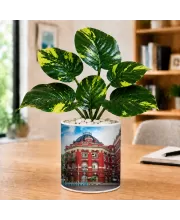 Artificial Tree Ceramic Photo Pot With White Stones 3x4 Inch (F165678)