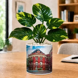Artificial Tree Ceramic Photo Pot With White Stones 3x4 Inch (F165678)