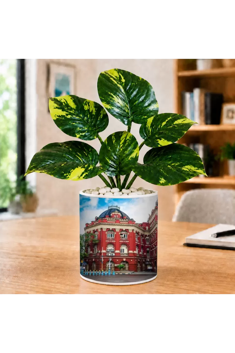 Artificial Tree Ceramic Photo Pot With White Stones 3x4 Inch (F165678)