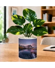 Artificial Tree Ceramic Photo Pot With White Stones 3x4 Inch (F165691)