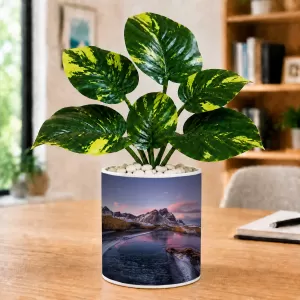 Artificial Tree Ceramic Photo Pot With White Stones 3x4 Inch (F165691) Artificial Tree Ceramic Photo Pot With White Stones 3x4 Inch (F165691)