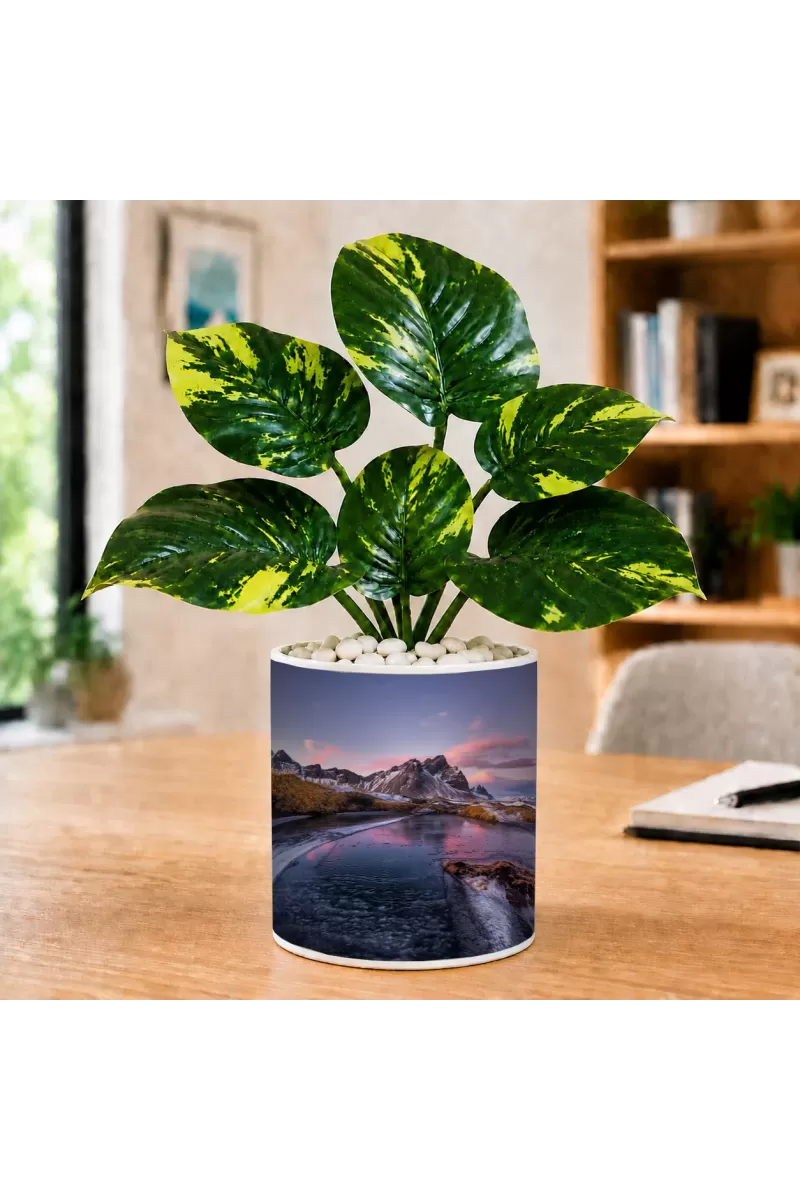 Artificial Tree Ceramic Photo Pot With White Stones 3x4 Inch (F165691)