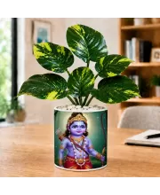 Artificial Tree Ceramic Photo Pot With White Stones 3x4 Inch (F165699)