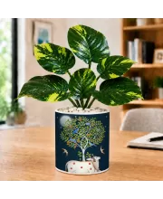 Artificial Tree Ceramic Photo Pot With White Stones 3x4 Inch (F165710)