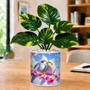 Artificial Tree Ceramic Photo Pot With White Stones 3x4 Inch (F165721)