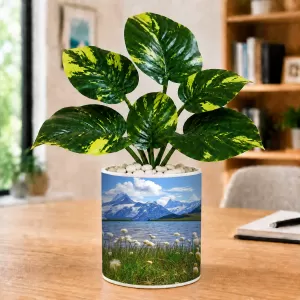 Artificial Tree Ceramic Photo Pot With White Stones 3x4 Inch (F165724) Artificial Tree Ceramic Photo Pot With White Stones 3x4 Inch (F165724)