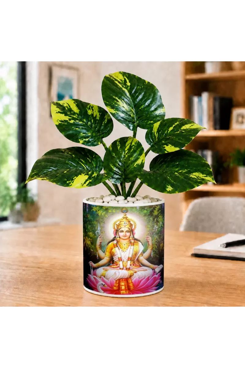 Artificial Tree Ceramic Photo Pot With White Stones 3x4 Inch (F165726)