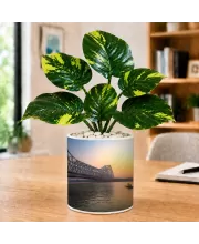 Artificial Tree Ceramic Photo Pot With White Stones 3x4 Inch (F165727)