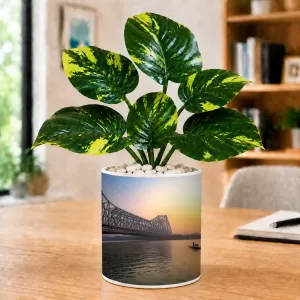Artificial Tree Ceramic Photo Pot With White Stones 3x4 Inch (F165727) Artificial Tree Ceramic Photo Pot With White Stones 3x4 Inch (F165727)