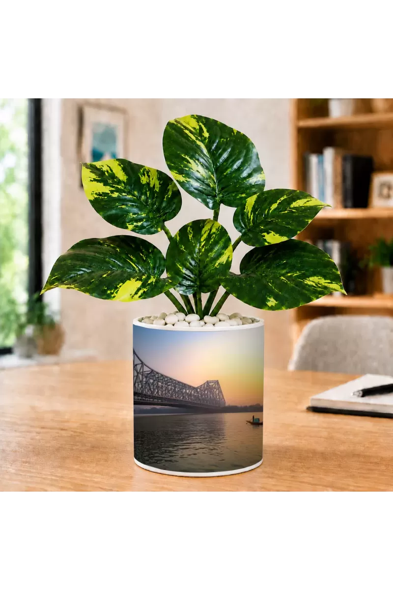 Artificial Tree Ceramic Photo Pot With White Stones 3x4 Inch (F165727)