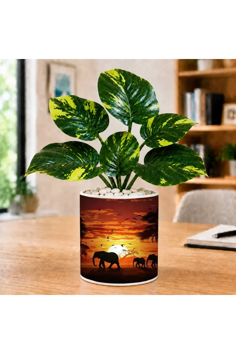 Artificial Tree Ceramic Photo Pot With White Stones 3x4 Inch (F165737)