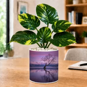 Artificial Tree Ceramic Photo Pot With White Stones 3x4 Inch (F165750)