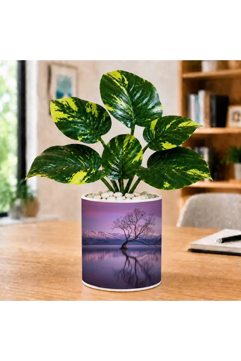 Artificial Tree Ceramic Photo Pot With White Stones 3x4 Inch (F165750)