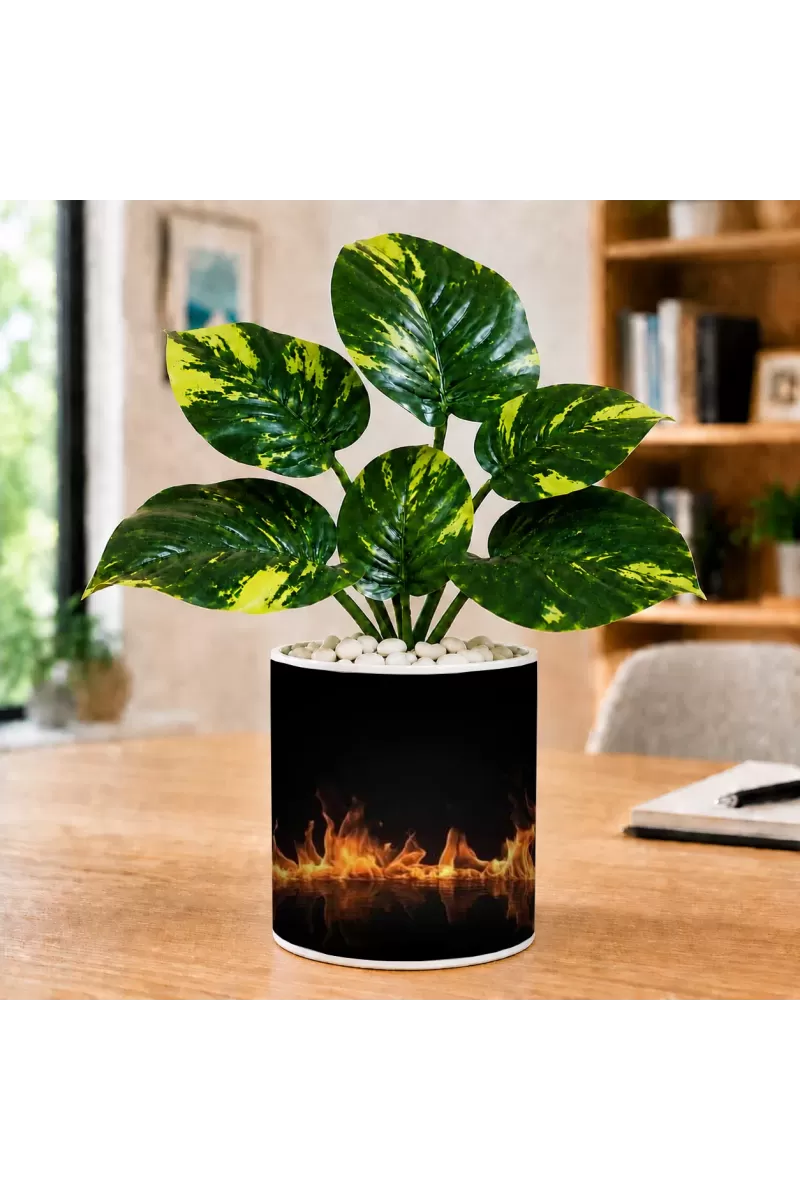 Artificial Tree Ceramic Photo Pot With White Stones 3x4 Inch (F165754)