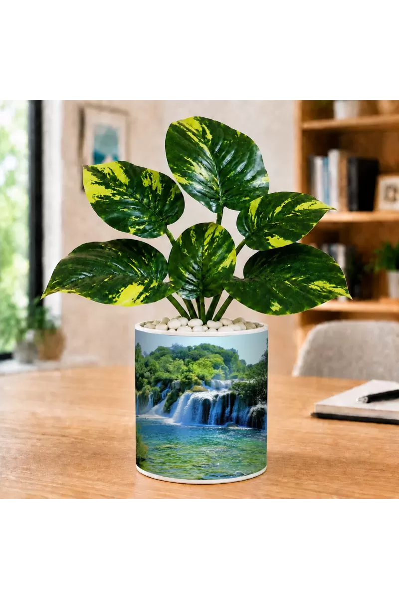 Artificial Tree Ceramic Photo Pot With White Stones 3x4 Inch (F165756)