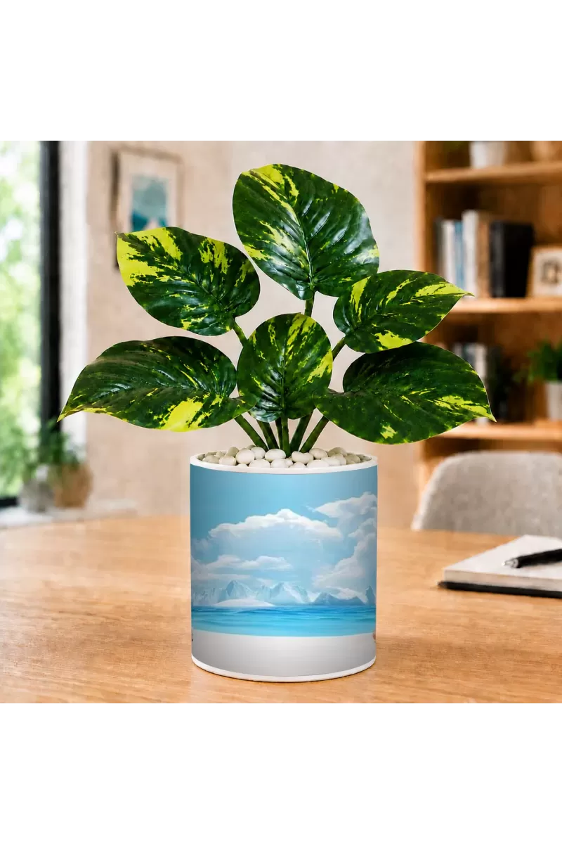 Artificial Tree Ceramic Photo Pot With White Stones 3x4 Inch (F165762)