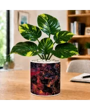 Artificial Tree Ceramic Photo Pot With White Stones 3x4 Inch (F165763)