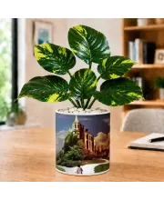 Artificial Tree Ceramic Photo Pot With White Stones 3x4 Inch (F165766)