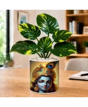 Artificial Tree Ceramic Photo Pot With White Stones 3x4 Inch (F165767)