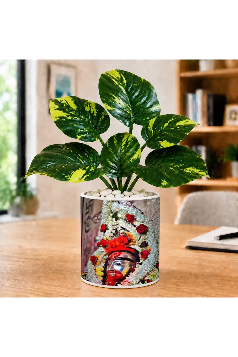 Artificial Tree Ceramic Photo Pot With White Stones 3x4 Inch (F165771)