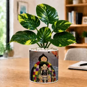 Artificial Tree Ceramic Photo Pot With White Stones 3x4 Inch (F165775) Artificial Tree Ceramic Photo Pot With White Stones 3x4 Inch (F165775)