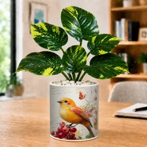 Artificial Tree Ceramic Photo Pot With White Stones 3x4 Inch (F165776) Artificial Tree Ceramic Photo Pot With White Stones 3x4 Inch (F165776)