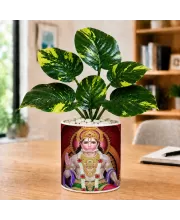 Artificial Tree Ceramic Photo Pot With White Stones 3x4 Inch (F165777)